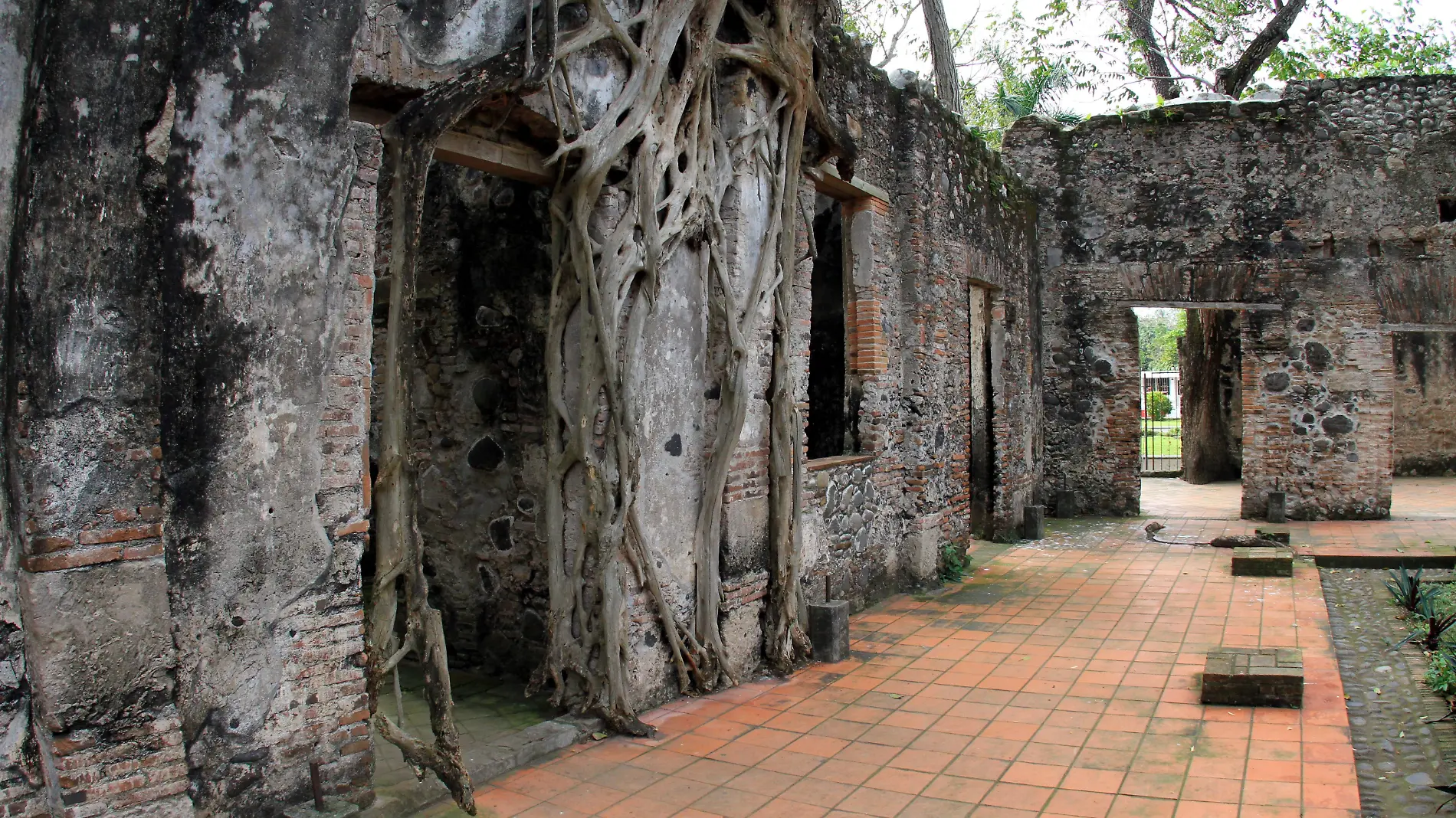 rene LA ANTIGUA, CASA HERNAN CORTES1dic159615